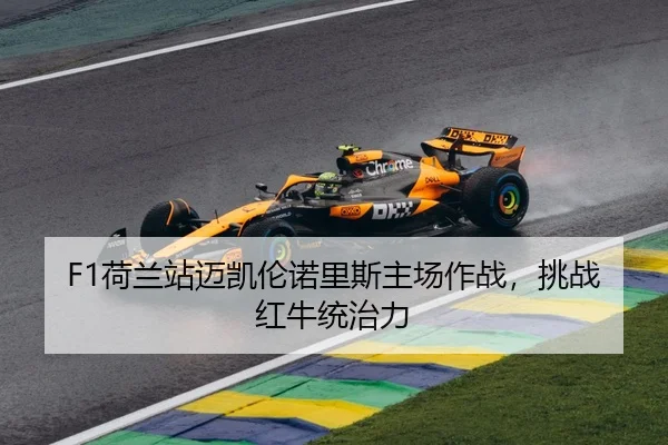he-lan-zhan-mai-kai-lun-nuo-li-si-zhu-chang-zuo-zhan-tiao-zhan-hong-niu-tong-zhi-li-3-273.jpg