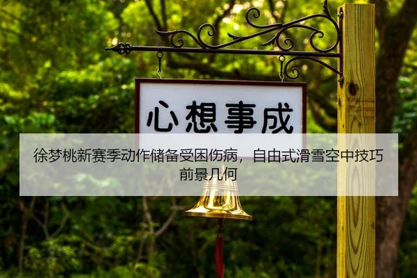 xu-meng-tao-xin-sai-ji-dong-zuo-chu-bei-shou-kun-shang-bing-zi-you-shi-hua-xue-kong-zhong-ji-qiao-qian-jing-ji-he-2-137.jpg