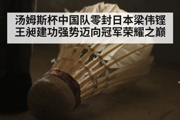 汤姆斯杯中国队零封日本梁伟铿王昶建功强势迈向冠军荣耀之巅